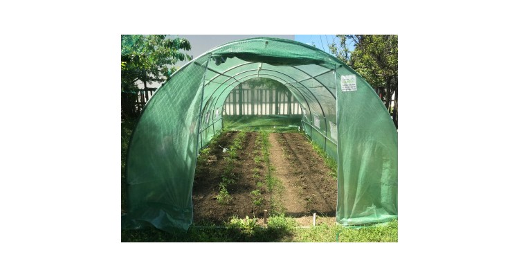 Sera pentru gradina cu schelet metalic 6 x 3 m,18MP