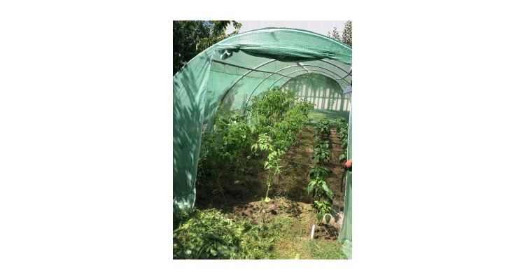 Sera pentru gradina cu schelet metalic 6 x 3 m,18MP