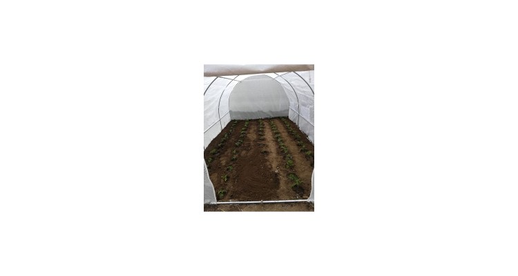 Solar gradina alb cu schelet metalic 6 x 3 m,18MP