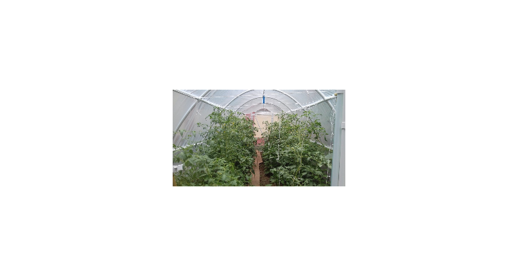 Solar gradina alb cu schelet metalic 6 x 3 m,18MP