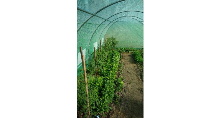 Sera pentru gradina cu schelet metalic 6 x 3 m,18MP