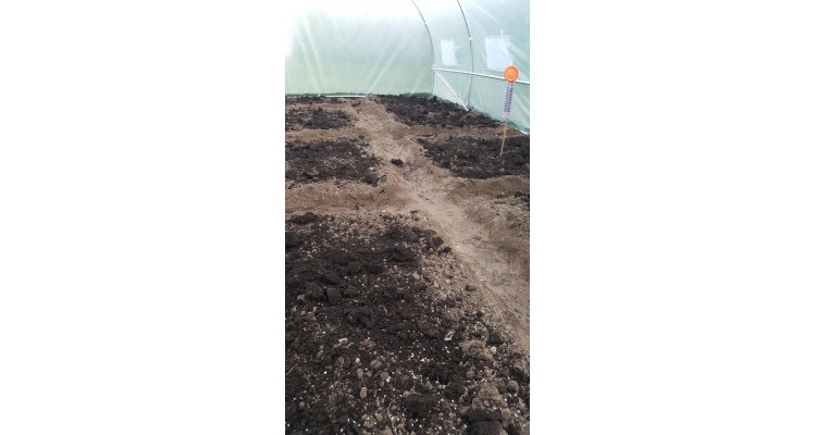 Sera pentru gradina cu schelet metalic 6 x 3 m,18MP