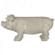 Banca model porc