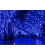 Instalatie de Craciun, tip liniara, 50 m cu 500 leduri, albastru Instalatie de Craciun, tip liniara, 50 m cu 500 leduri, albastru