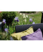 Set 2 fotolii de gradina Corfu Duo - Grafit/Gri Rece Set 2 fotolii de gradina Corfu Duo - Grafit/Gri Rece