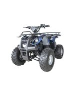 ATV electric Breckner Germany BK90124